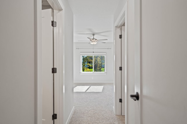 hall featuring light colored carpet