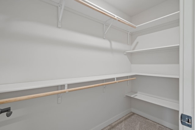 walk in closet featuring light colored carpet