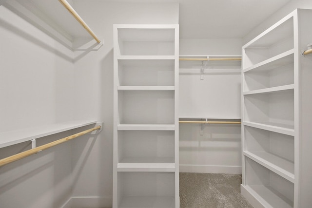 spacious closet with carpet floors