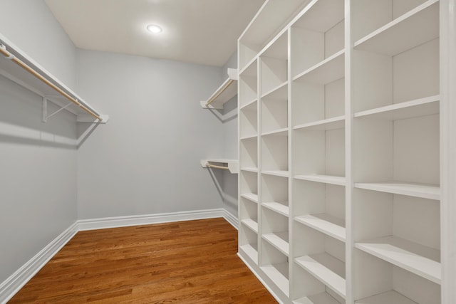 spacious closet featuring wood finished floors