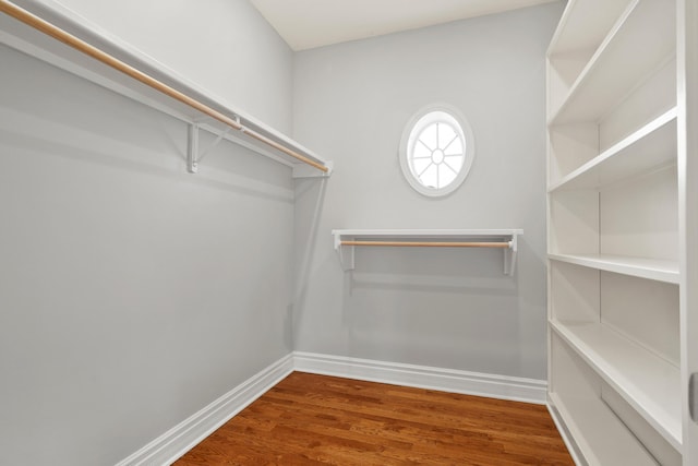 walk in closet featuring wood finished floors