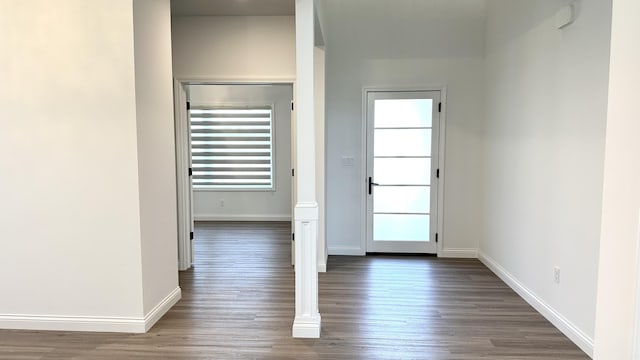 foyer entrance featuring dark wood-type flooring