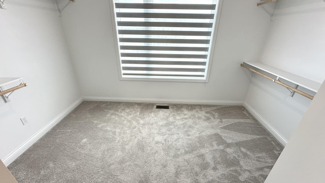 walk in closet with carpet flooring