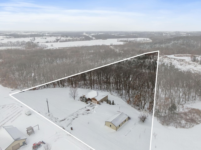 view of snowy aerial view