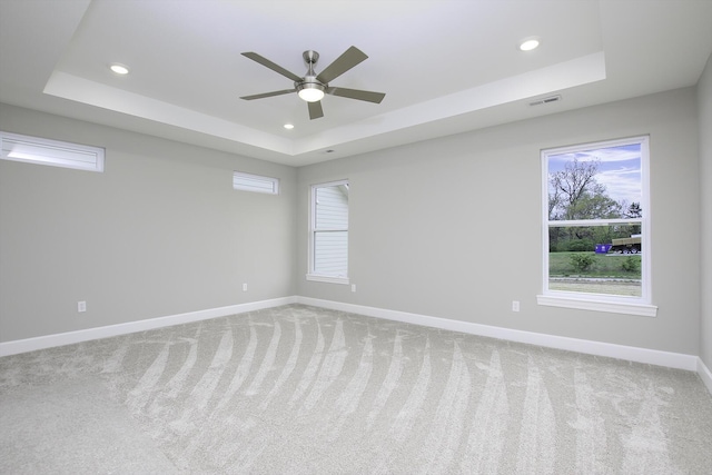 unfurnished room with light carpet, a tray ceiling, and a healthy amount of sunlight