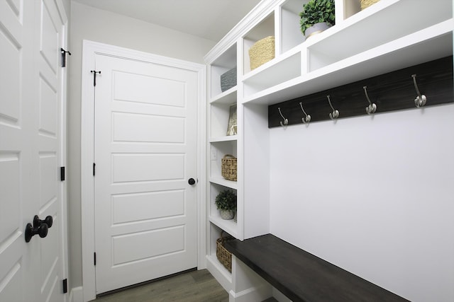 mudroom with dark wood-type flooring