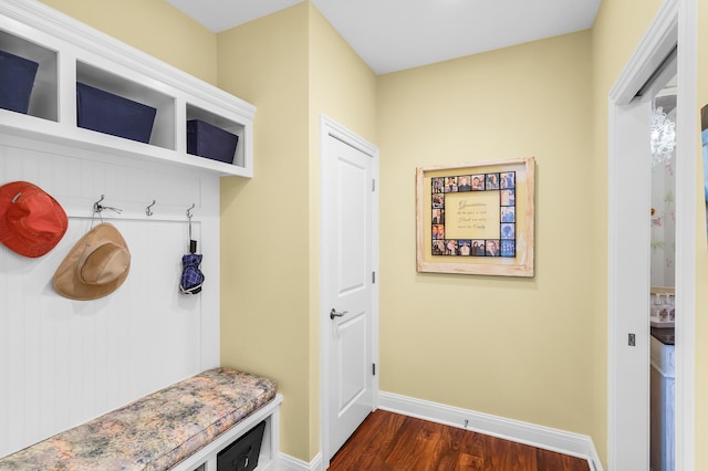 mudroom featuring dark hardwood / wood-style floors