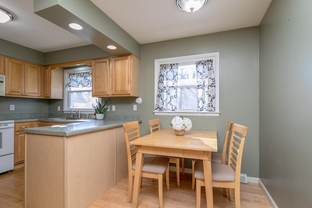 kitchen with light brown cabinetry, stove, light hardwood / wood-style flooring, and sink