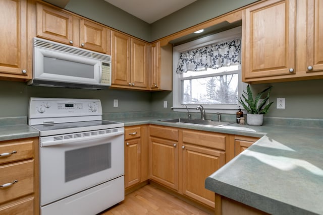 kitchen featuring light hardwood / wood-style floors, white appliances, and sink