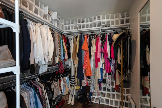 walk in closet with hardwood / wood-style floors