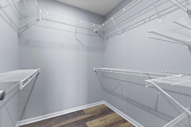 walk in closet featuring dark hardwood / wood-style floors