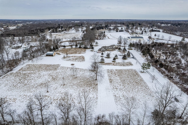 view of snowy aerial view