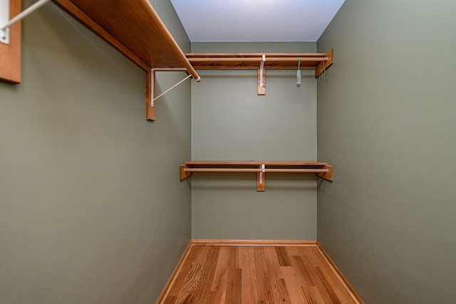 walk in closet featuring wood-type flooring