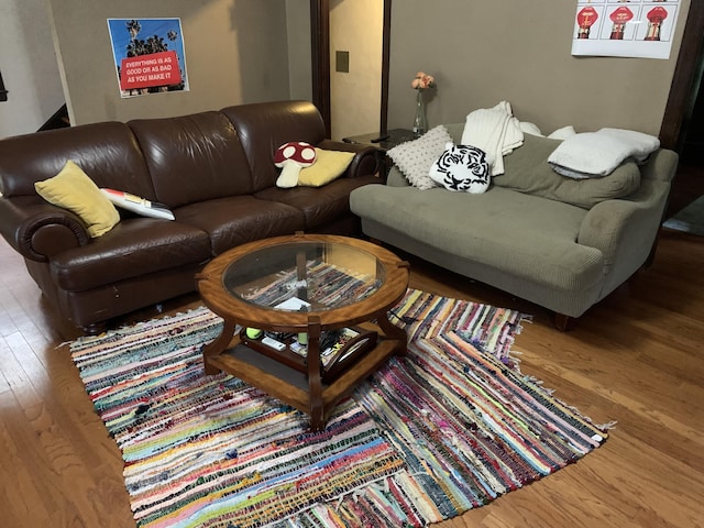 living room featuring hardwood / wood-style flooring