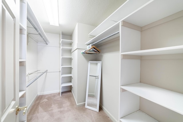 spacious closet with light colored carpet