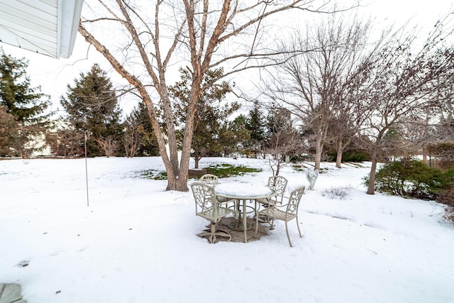 view of yard covered in snow