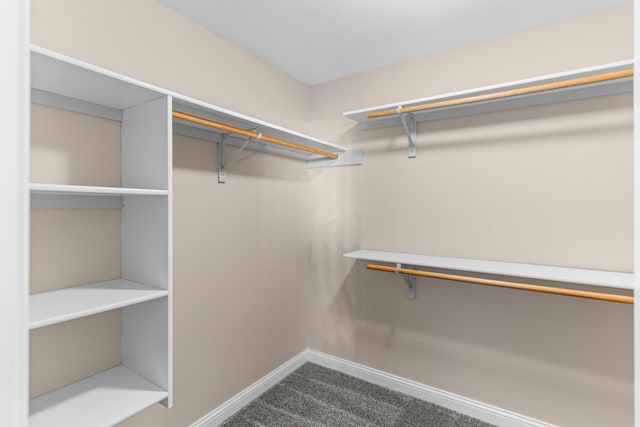 spacious closet featuring carpet floors