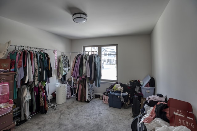 spacious closet with light carpet