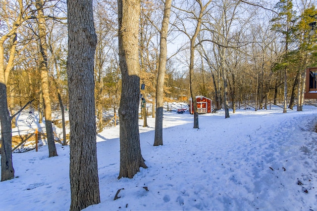 view of yard covered in snow