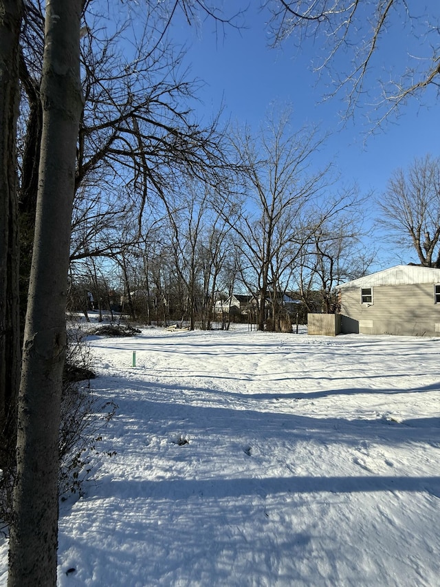 view of yard covered in snow