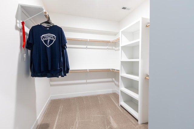 spacious closet featuring carpet floors