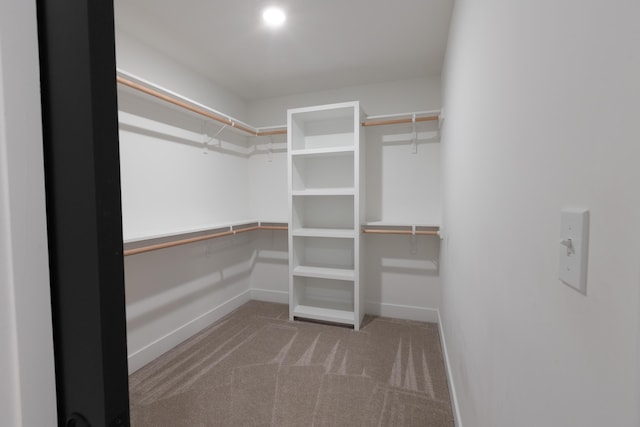 walk in closet with carpet floors