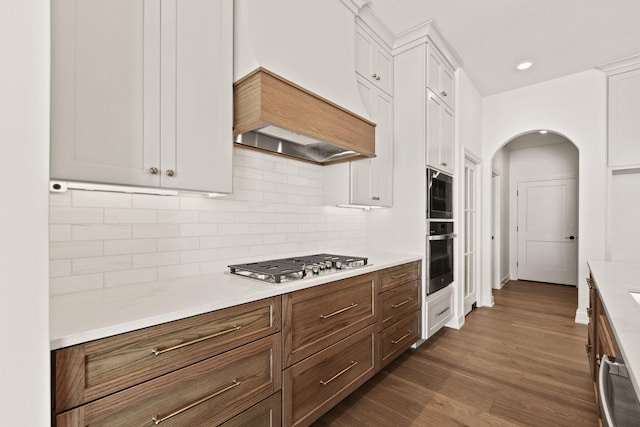 kitchen with white cabinetry, custom exhaust hood, appliances with stainless steel finishes, decorative backsplash, and dark wood-type flooring