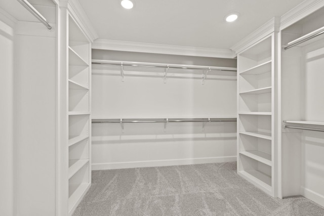 spacious closet with carpet floors