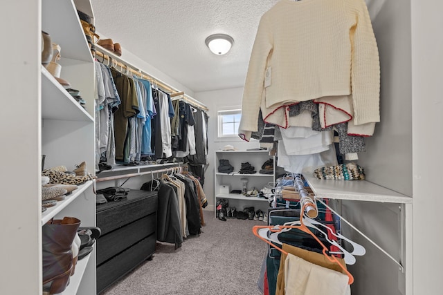 walk in closet featuring light colored carpet