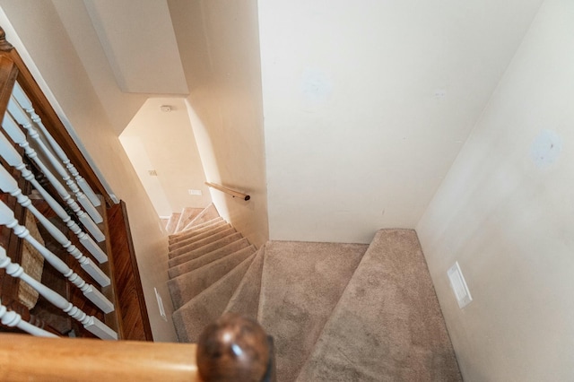 stairway featuring carpet flooring