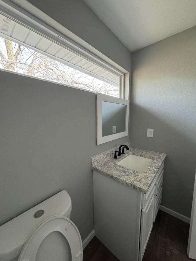 bathroom with vanity, wood-type flooring, and toilet