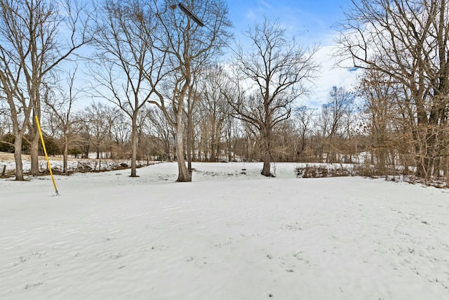 view of snowy yard