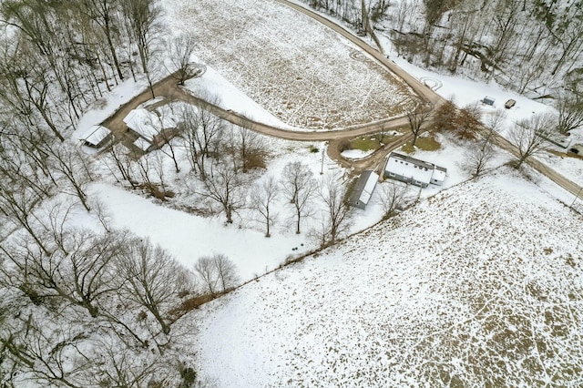 view of snowy aerial view