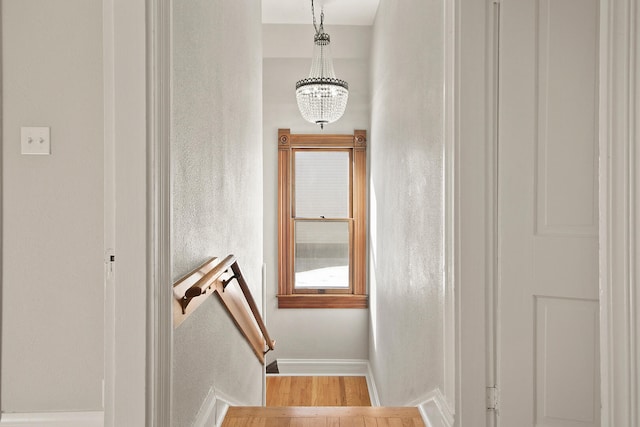 staircase with wood-type flooring