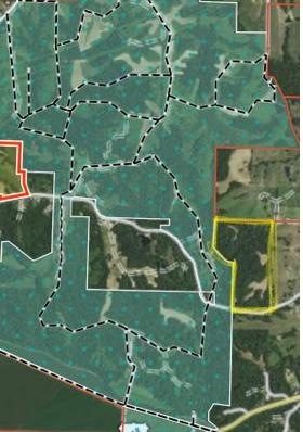 Listing photo 3 for 122ACRES County Road 442, New Franklin MO 65274