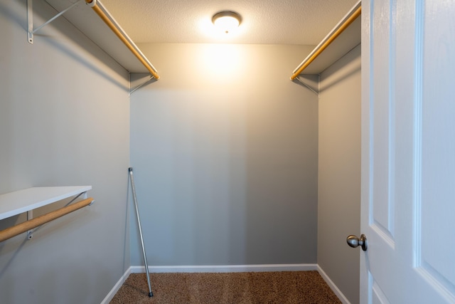 walk in closet with carpet floors