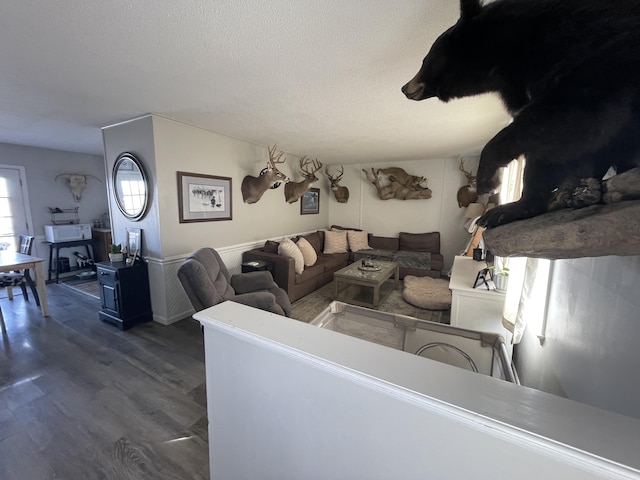 living room featuring dark hardwood / wood-style flooring and a textured ceiling