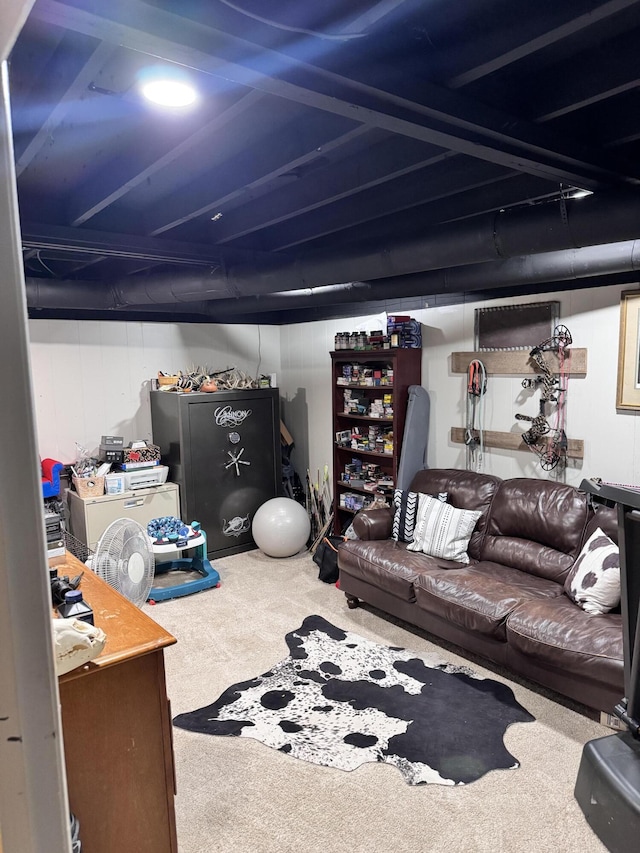 basement with carpet floors