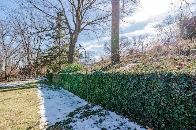 view of yard layered in snow