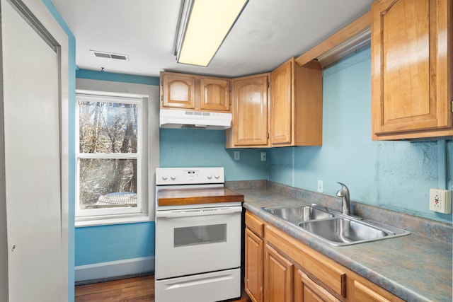 kitchen with white electric stove, sink, and hardwood / wood-style floors