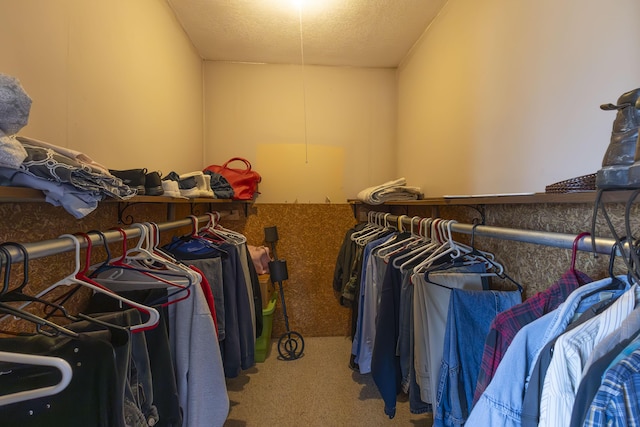 spacious closet with carpet floors