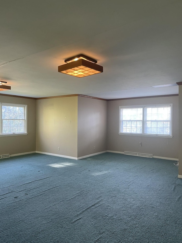 spare room featuring crown molding, ceiling fan, and carpet flooring