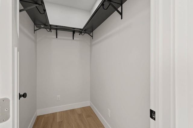 spacious closet with wood-type flooring