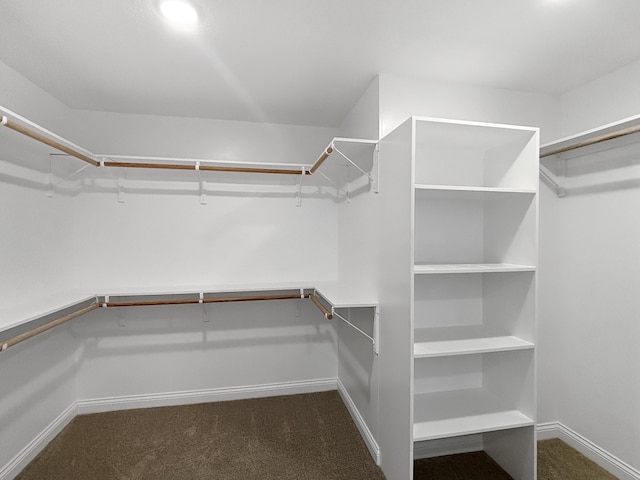 walk in closet featuring dark colored carpet