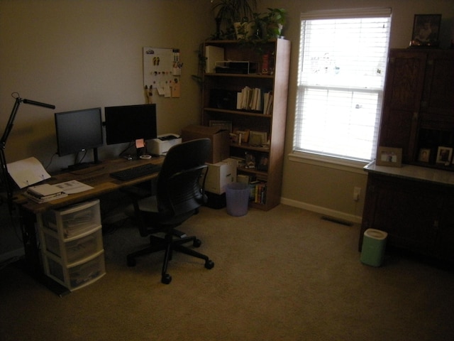 view of carpeted home office