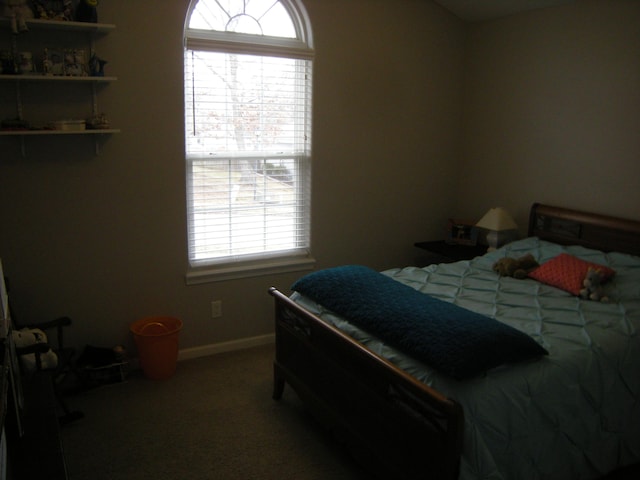 bedroom featuring carpet