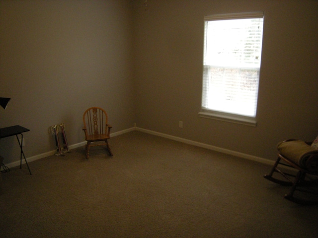 unfurnished room featuring carpet