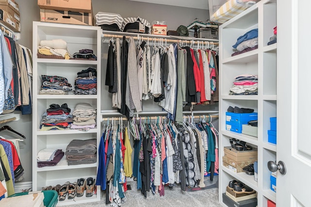 walk in closet with carpet floors