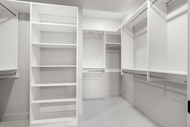 view of spacious closet