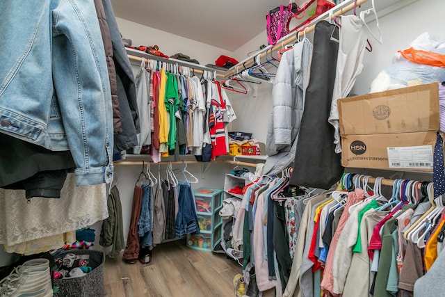 walk in closet with hardwood / wood-style flooring